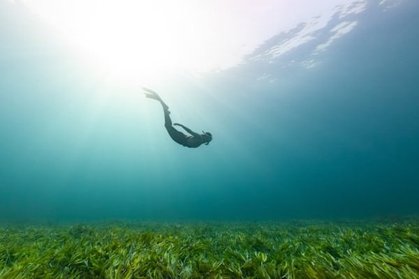 Guide Complet : Choisir le Meilleur Matériel de Snorkeling pour une Expérience Sous-Marine Inoubliable
