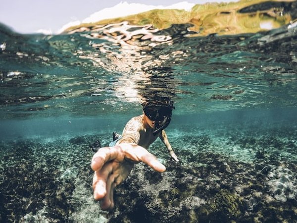 Découvrir les merveilles sous-marines : les meilleurs spots de plongée en apnée et snorkeling