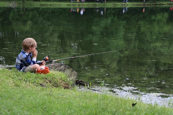 Découvrez les Meilleurs Campings avec Étang de Pêche et Piscine en Normandie